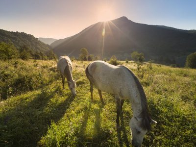 1.-Zelengora-horseback-riding